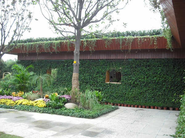 聚鋒塑木助力『江蘇省第六屆園藝博覽會』泰州展園生態環境建設